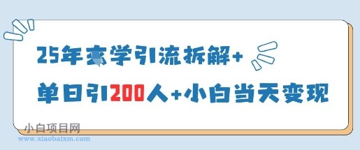 25年国学引流拆解+单日引200人+小白当天就能变现-小白项目分享网