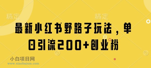 最新小红书野路子玩法，单日引流200+创业粉-小白项目分享网