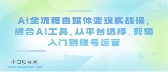 Ai全流程自媒体变现实战课，结合AI工具，从平台选择、剪辑入门到账号运营-小白项目分享网
