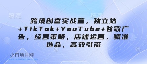 跨境创富实战营，独立站+TikTok+YouTube+谷歌广告，经营策略，店铺运营，精准选品，高效引流-小白项目分享网