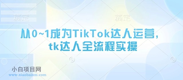 从0~1成为TikTok达人运营，tk达人全流程实操-小白项目分享网