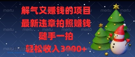 解气又挣钱的项目，最新违章拍照挣钱，随手一拍，轻松收入多张【揭秘】-小白项目分享网