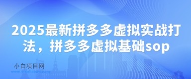 2025最新拼多多虚拟实战打法，拼多多虚拟基础sop-小白项目分享网