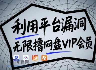 利用平台漏洞，无限撸网盘VIP会员，用户亲测有效!【漏洞原理+操作演示】-小白项目分享网