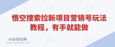 悟空搜索拉新项目营销号玩法教程，有手就能做-小白项目分享网