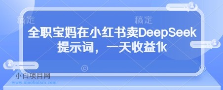 全职宝妈在小红书卖DeepSeek提示词，一天收益1k-小白项目分享网
