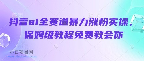 抖音ai全赛道暴力涨粉实操，保姆级教程免费教会你-小白项目分享网