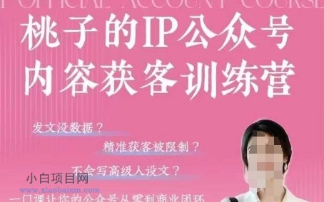 桃子IP公众号内容获客训练营(第3期)，一门让你公众号从0到商业闭环的课程-小白项目分享网
