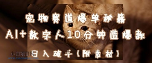 宠物赛道爆单秘籍:AI+数字人10分钟造爆款,日入1k-小白项目分享网