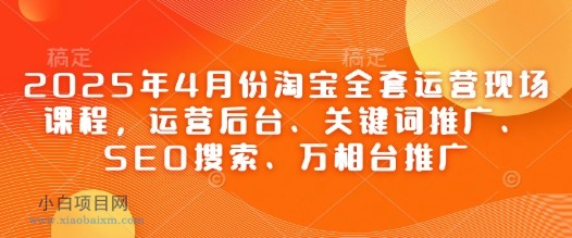 2025年4月份淘宝全套运营现场课程，运营后台、关键词推广、SEO搜索、万相台推广-小白项目分享网
