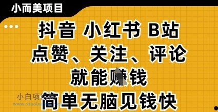 小而美的项目，抖音小红书B站视频点赞、关注、评论就能挣钱，简单无脑立见收益，妥妥的零撸项目【揭秘】-小白项目分享网