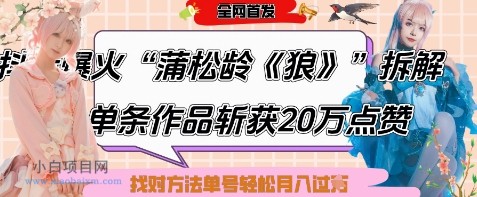爆火“蒲松龄《狼》”实战拆解，仅6条作品涨粉24W，单条作品收获20W点赞，找对方法轻松起号月入过W-小白项目分享网