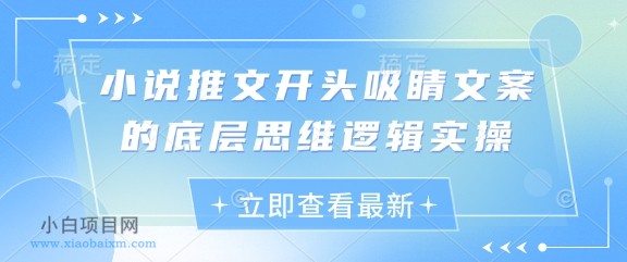 小说推文开头吸睛文案的底层思维逻辑实操-小白项目分享网