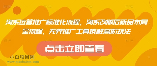 淘系运营推广标准化流程，​淘系改版后新品布局全流程，无界推广工具拆解高阶玩法-小白项目分享网