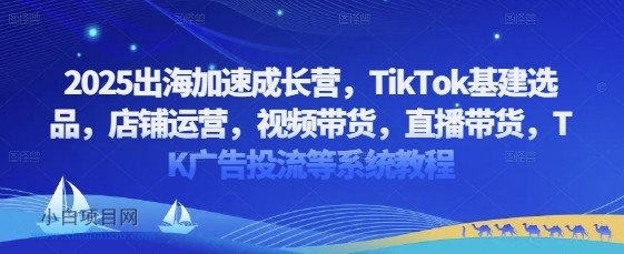 2025出海加速成长营，TikTok基建选品，店铺运营，视频带货，直播带货，TK广告投流等系统教程-小白项目分享网