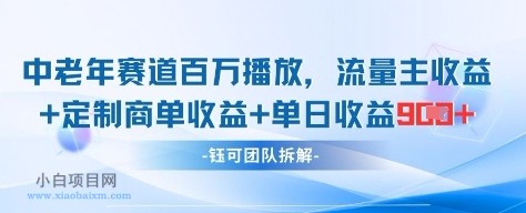 中老年赛道百万播放+流量主收益+定制收益，单日收益9张-小白项目分享网