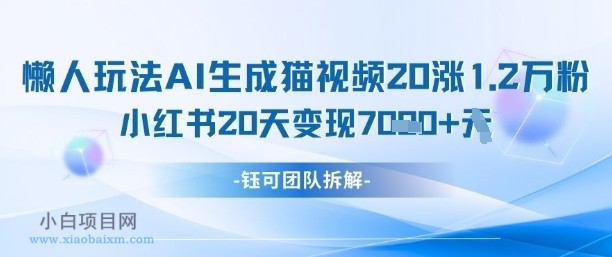 懒人玩法AI生成猫咪图片视频，20涨1.2W万粉，小红书商单20天变现7k-小白项目分享网