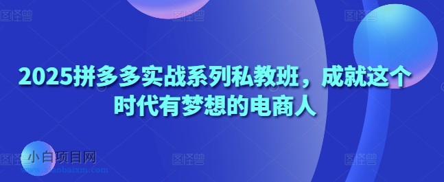 2025拼多多实战系列私教班，成就这个时代有梦想的电商人-小白项目分享网