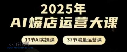 2025年AI爆店运营大课，13节AI实操课+37节流量运营课-小白项目分享网