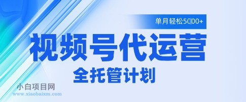 视频号代运营2.0，全程托管招募，单月轻松变现5k【揭秘】-小白项目分享网