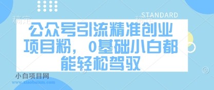 公众号引流精准创业项目粉，0基础小白都能轻松驾驭-小白项目分享网