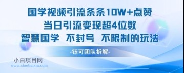 国学视频引流条条10W+点赞当日引流变现超4位数-小白项目分享网