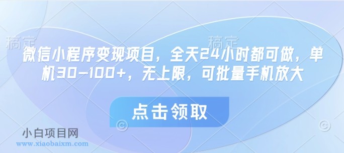 微信小程序变现项目，全天24小时都可做，单机30-100+，无上限，可批量手机放大-小白项目分享网