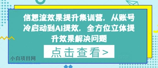 信息流效果提升集训营，从账号冷启动到AI提效，全方位立体提升效果解决问题-小白项目分享网