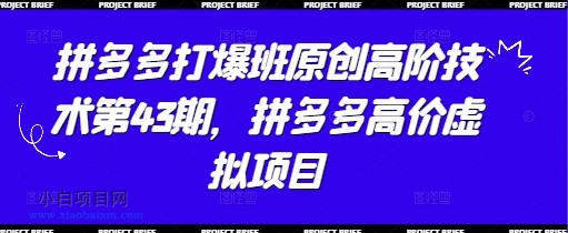 拼多多打爆班原创高阶技术第43期,拼多多高价虚拟项目