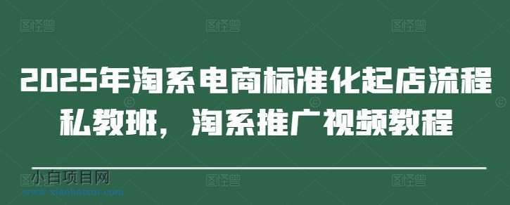 2025年淘系电商标准化起店流程私教班，淘系推广视频教程-小白项目分享网