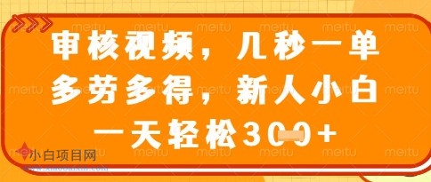 视频审核员，几秒一单，不限时间，不限地点，多做多得，新人小白一天轻松几张+【揭秘】-小白项目分享网