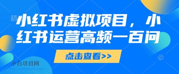 小红书虚拟项目，小红书运营高频一百问【文档】-小白项目分享网