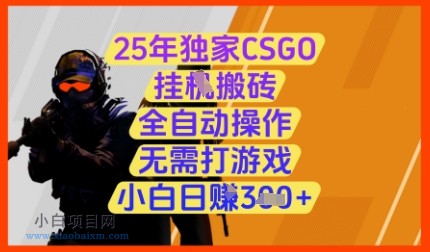 25年独家CSGO挂G搬砖，全自动操作，无需打游戏，小白日入3张+【揭秘】-小白项目分享网