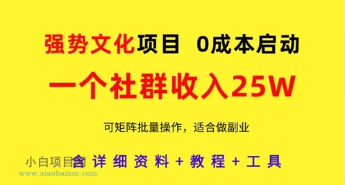 强势文化项目，一个社群收入25个W，0成本启动，可矩阵批量操作，原创详细实操教程-小白项目分享网