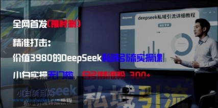 精准打击：价值3980的DeepSeek私域引流实操课，小白实操无门槛，日引精准粉300+-小白项目分享网