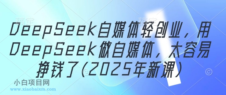 DeepSeek自媒体轻创业，用DeepSeek做自媒体，太容易挣钱了(2025年新课)-小白项目分享网