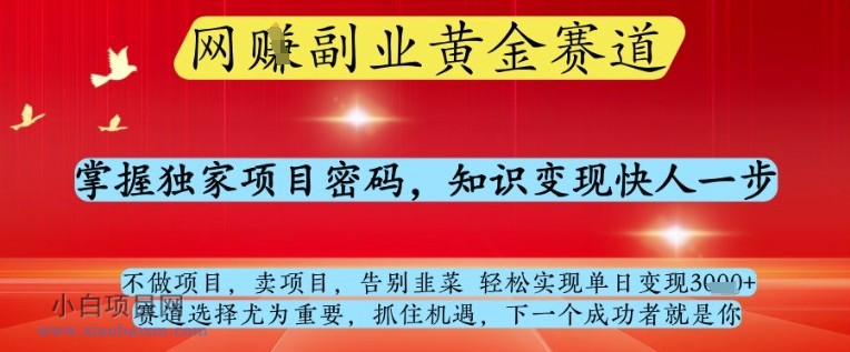 网创副业黄全赛道，掌握独家项目密码，知识变现快人一步，告别韭菜轻松实现单日变现1k+【揭秘】-小白项目分享网