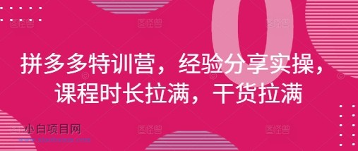 拼多多特训营，经验分享实操，课程时长拉满，干货拉满(更新25年4月)-小白项目分享网