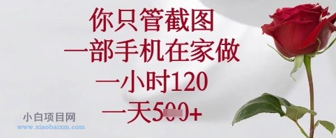 你只管截图，一部手机在家可以做，一小时120.一天5张+【揭秘】-小白项目分享网