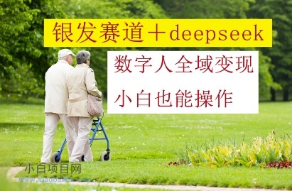 银发赛道+deepseek数字人全域变现，小白也能操作-小白项目分享网