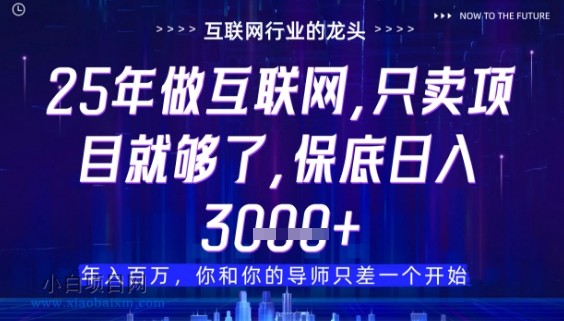 什么！25年你还在找项目做？风口早就变了，卖项目才是稳挣不赔【揭秘】-小白项目分享网