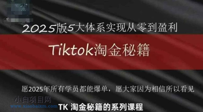 TikTok跨境2025淘金秘籍，​2025TikTok从0到盈利变现-小白项目分享网