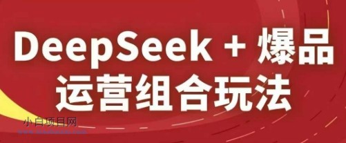 DeepSeek+爆品运营组合玩法，2025淘系精品课-小白项目分享网