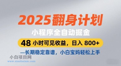 2025翻身计划，小程序全自动掘金，48小时可见收益，日入8张+，长期稳定靠谱，小白宝妈轻松上手【揭秘】-小白项目分享网