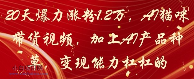20天爆力涨粉1.2W，AI猫咪带货视频，加上AI产品种草，变现能力杠杠的-小白项目分享网