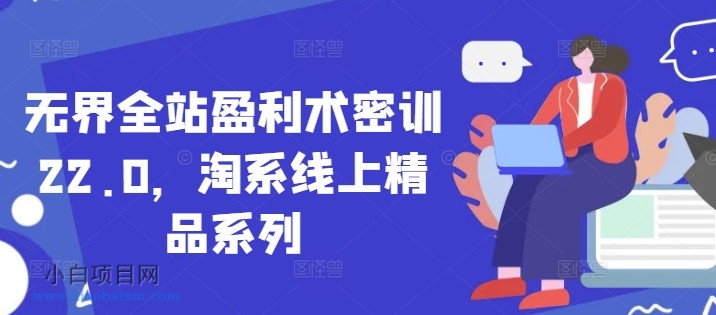 无界全站盈利术密训22.0，淘系线上精品系列-小白项目分享网
