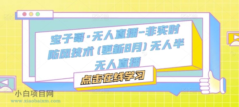 宝子哥·无人直播-非实时防风技术(更新25年5月)无人半无人直播-小白项目分享网