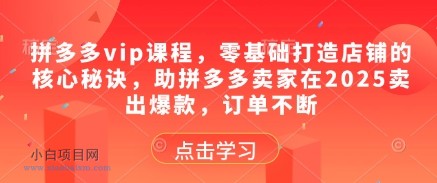 拼多多vip课程,零基础打造店铺的核心秘诀,助拼多多卖家在2025卖出爆款,订单不断