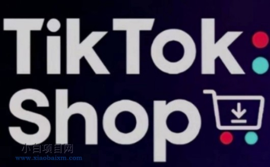 TikTokShop跨境电商0-1实战，手把手教你低成本启动海外市场（更新）-小白项目分享网