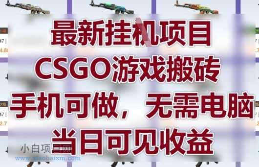 最新挂G项目，CSGO游戏搬砖，手机可做，无需电脑，当日见收益【揭秘】-小白项目分享网